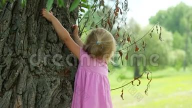4K儿童在公园户外玩<strong>爬树</strong>，小女孩肖像。